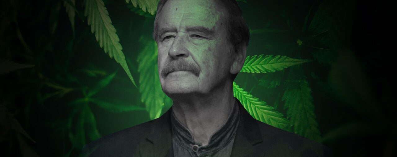 AMLO irá contra empresas de la familia de Fox por negocios relacionados a la cannabis