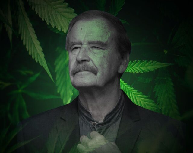 AMLO irá contra empresas de la familia de Fox por negocios relacionados a la cannabis