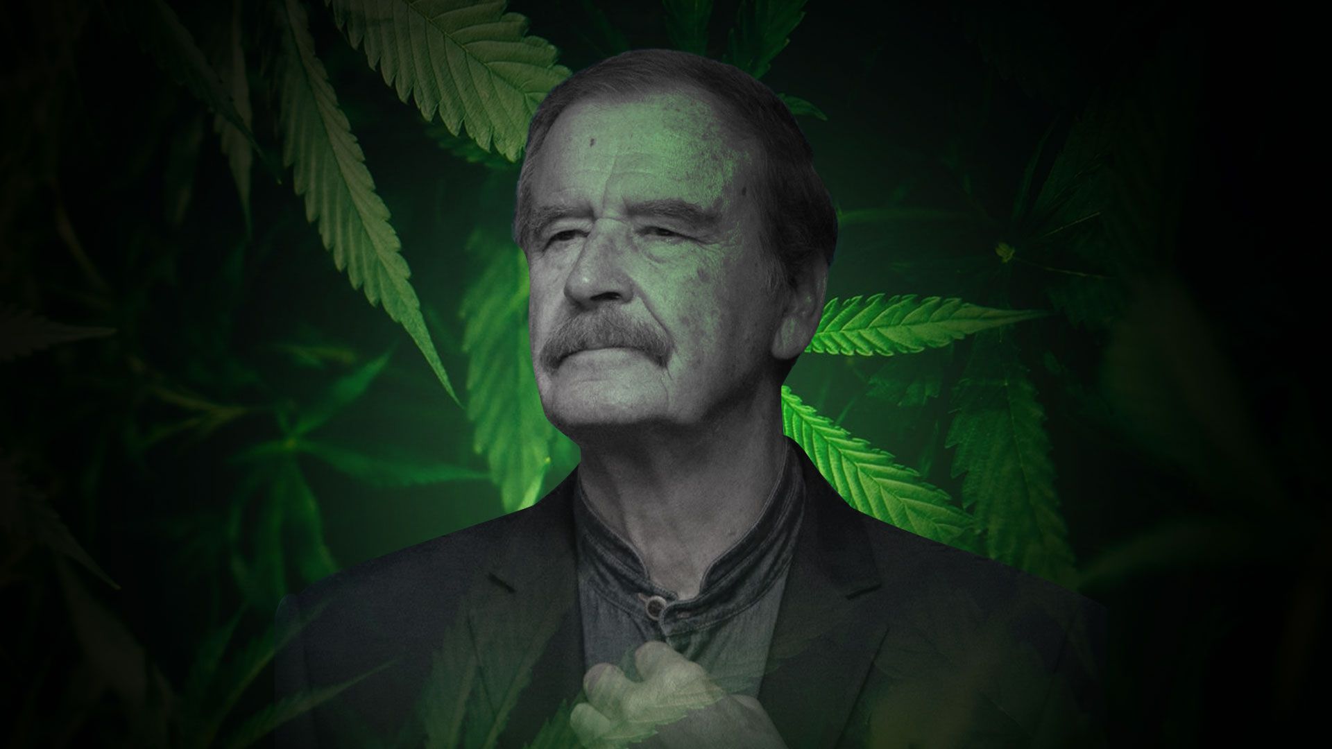 Vicente Fox habló sobre el futuro de la marihuana en México (Fotoarte: Infobae México)