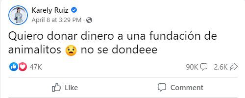Tras la publicación de Karely Ruiz distintas organizaciones y albergues para animales pidieron apoyo a la modelo (Captura Fb: Karely Ruiz)