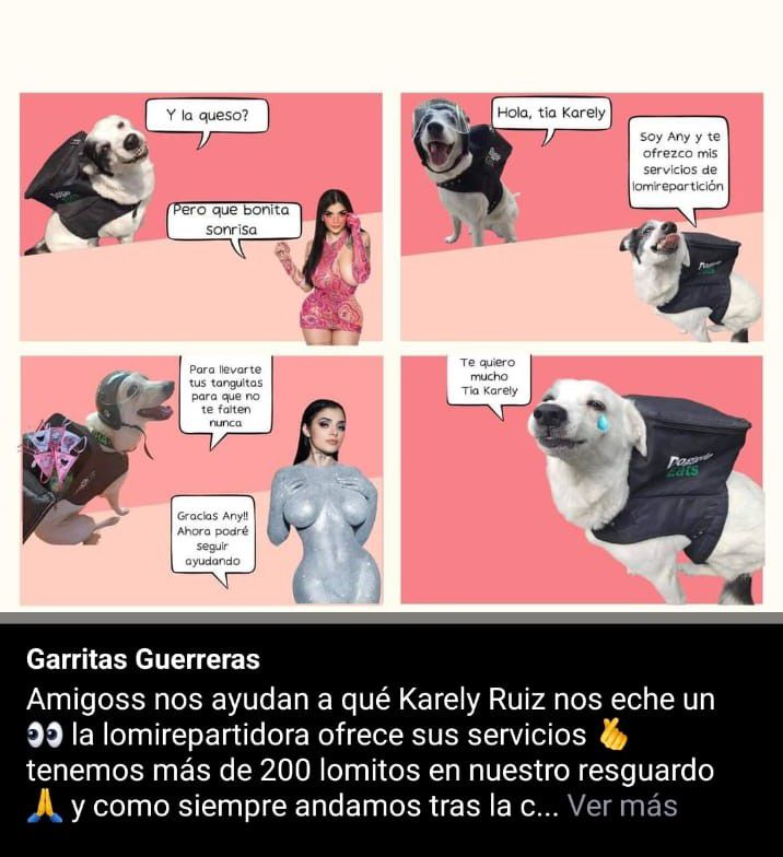 Garritas Guerreras fue uno de los albergues que dedicaron un mensaje a Karely Ruiz y que ella contestó prometiendo ayudar (Captura: Fb: Garritas Guerreras)