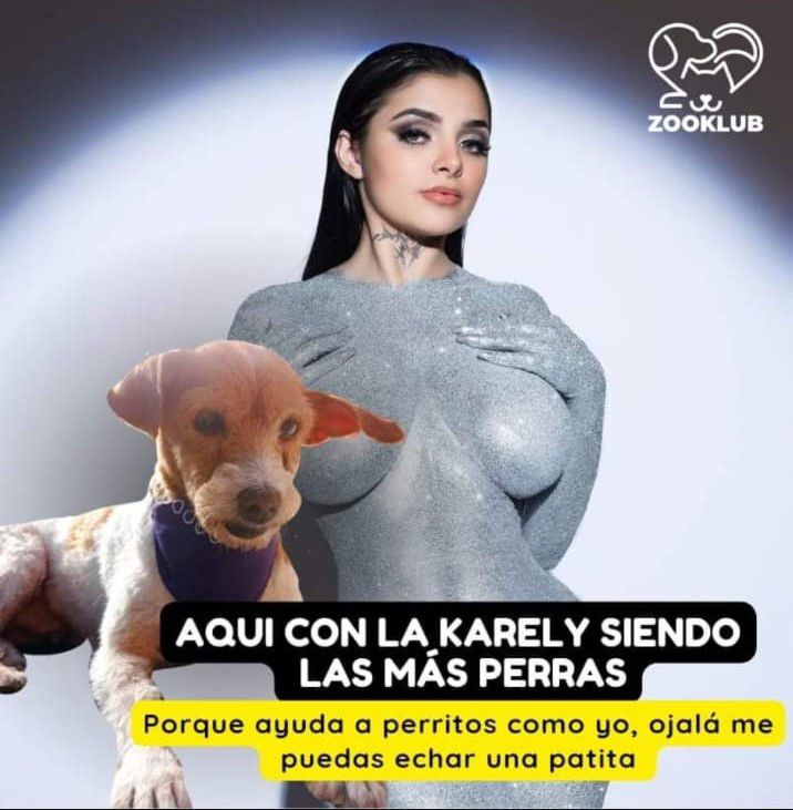 "Zooklub" dedicó un mensaje a Karely Ruiz y ella respondió