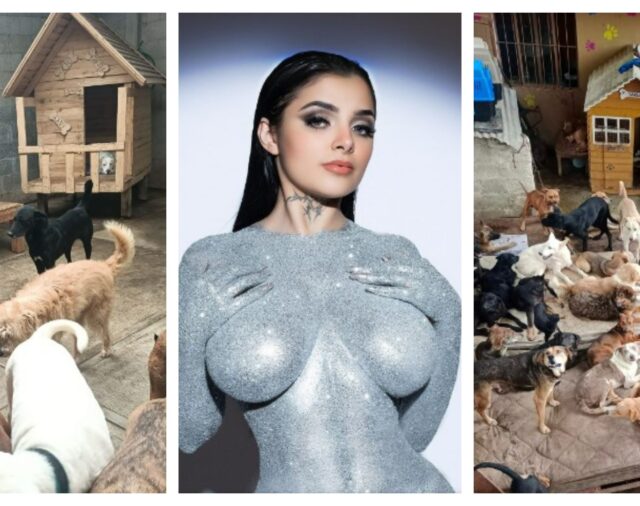 Ayudemos a los perritos: Karely Ruiz prometió apoyar a distintos albergues para animales