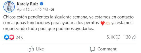 Karely aseguró que se puso en contacto con distintos centros de rescate para apoyarlos económicamente (Captura: Fb: Karely Ruiz)