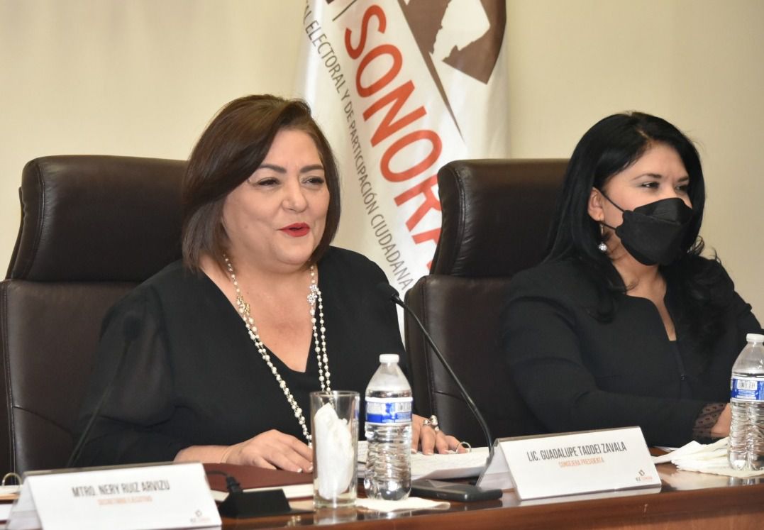 Guadalupe_Taddei_Zavala_Consejera_presidenta_INE_02
