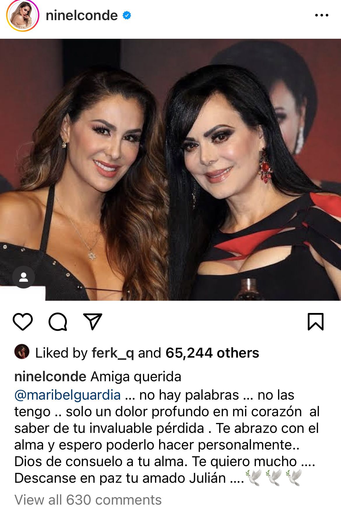 Ninel Conde, quien fue muy cercana a la Dinastia Figueroa por ser novia de José Manuel Figueroa, se solidarizó con Maribel Guardia (Instagram @ninelconde)