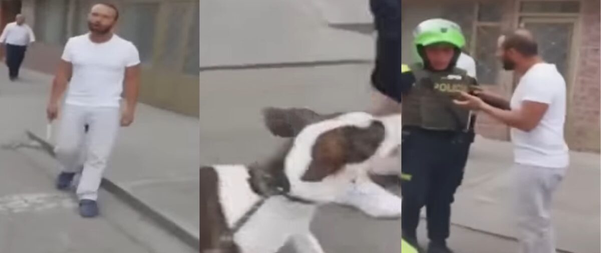 Por proteger a su perro, mujer recibió una golpiza en el sur de Bogotá