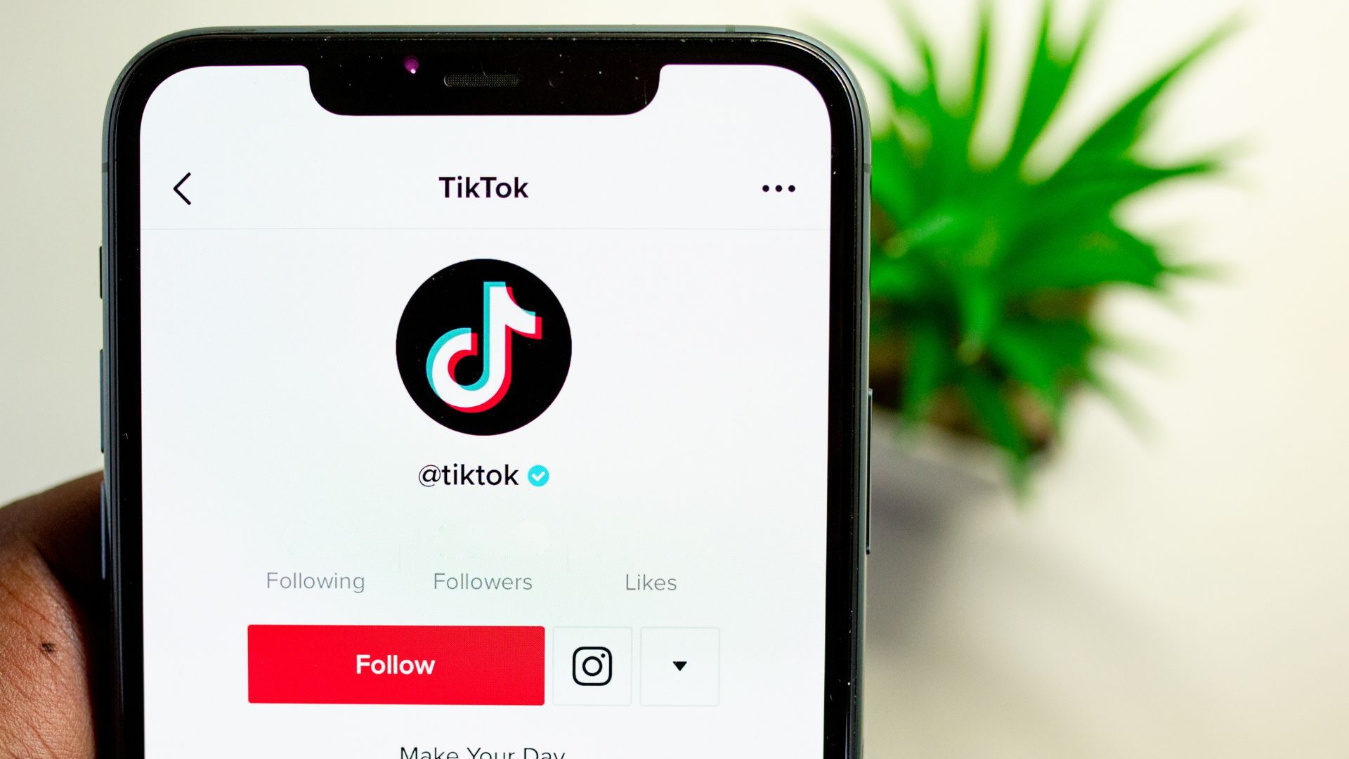 La búsqueda de observadores de TikTok está abierta para personas de todo el mundo.