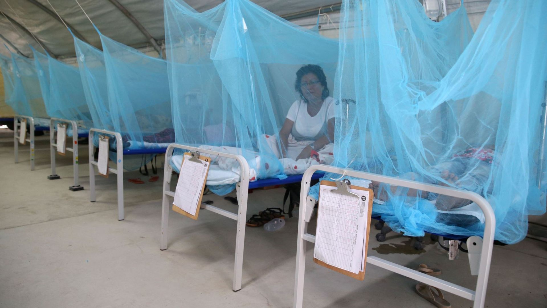 Dengue