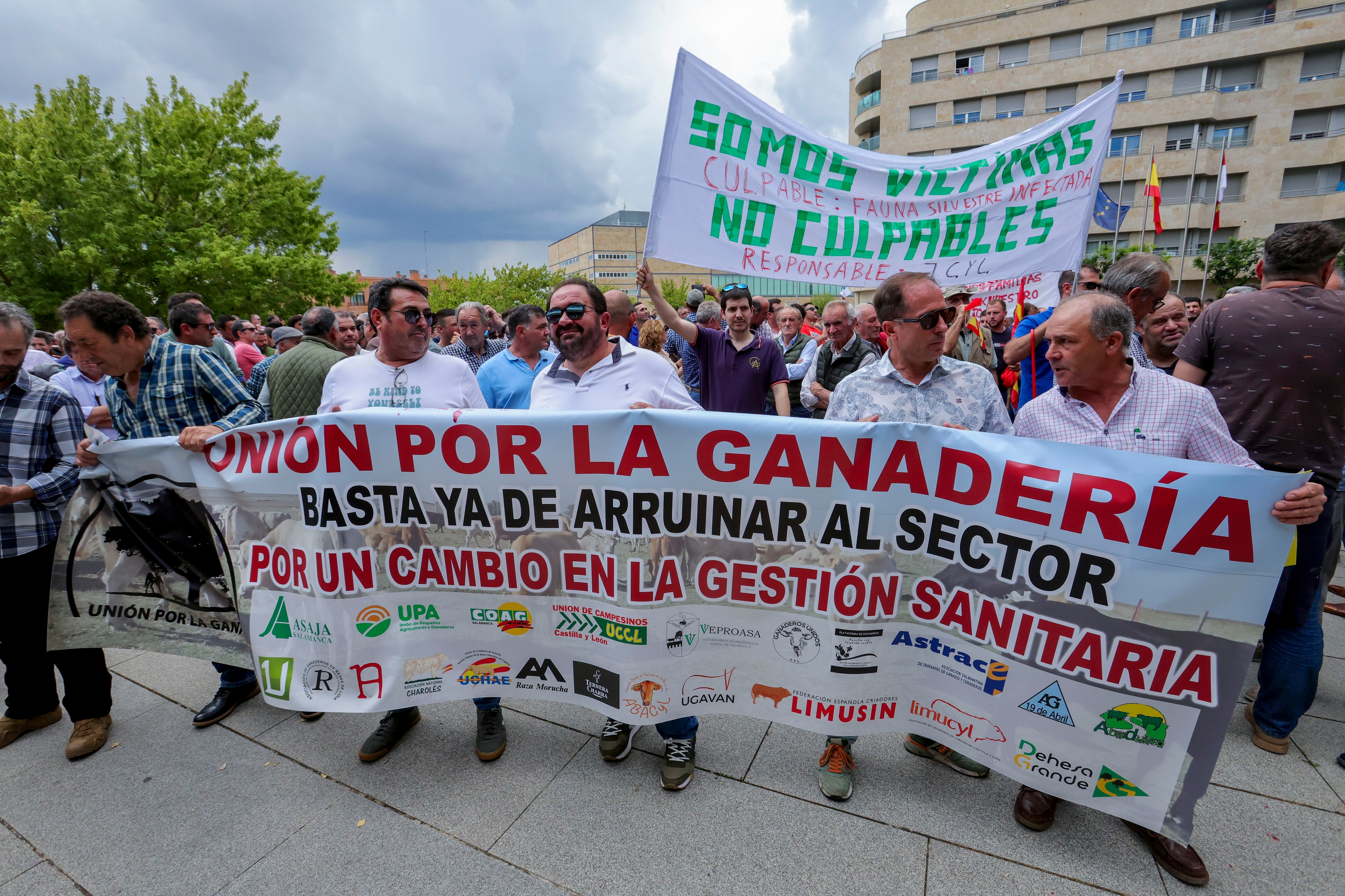Protesta de ganaderos salmantinos contra los protocolos de los saneamientos de la tuberculosis bovina. (EFE/J.M.GARCÍA)