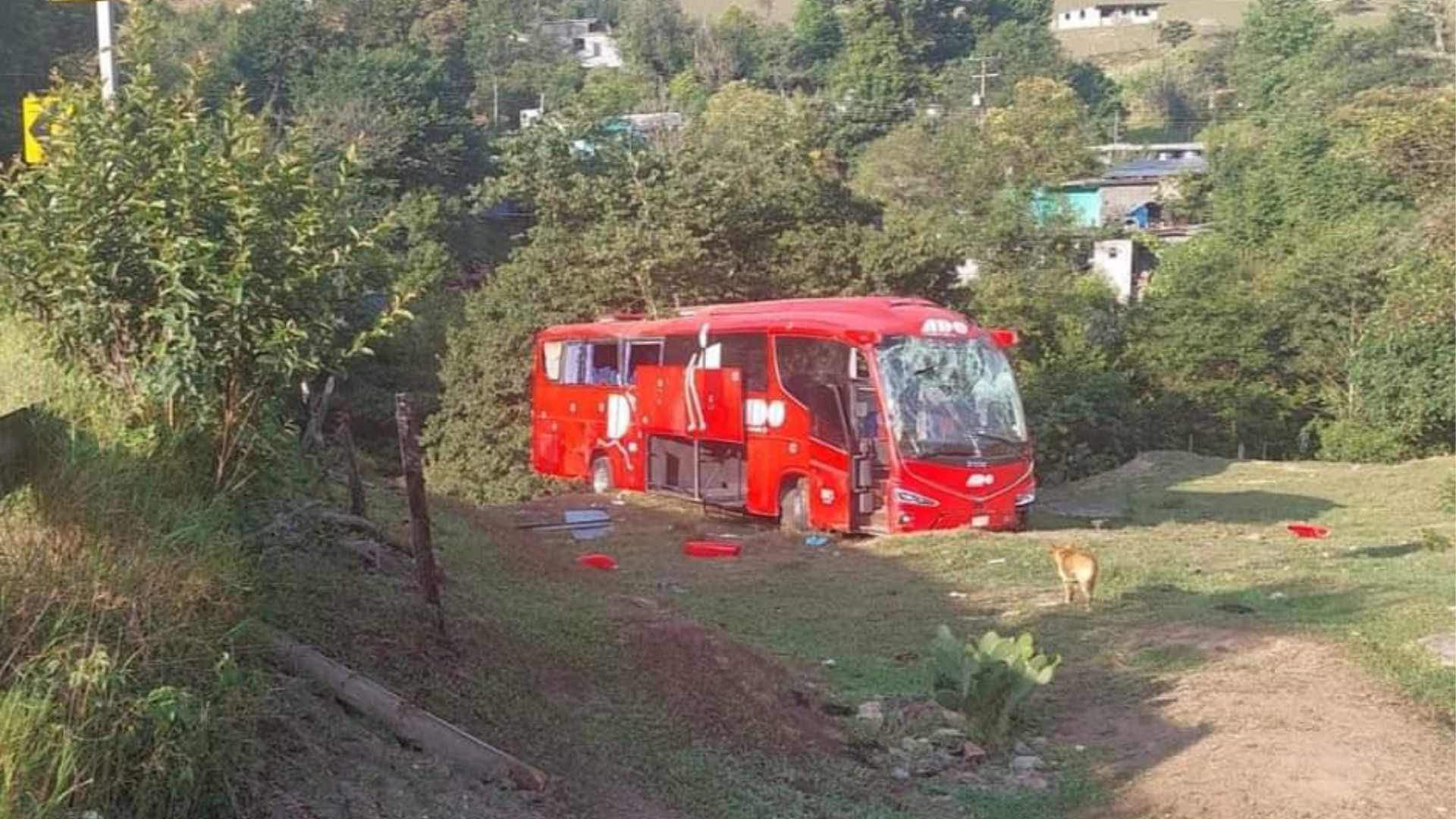 Accidente Hidalgo