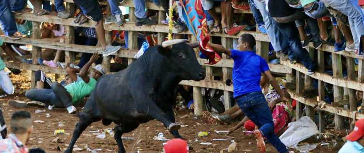 Un hombre resultó muerto por un toro durante las corralejas en San Pedro Consolado, Bolívar