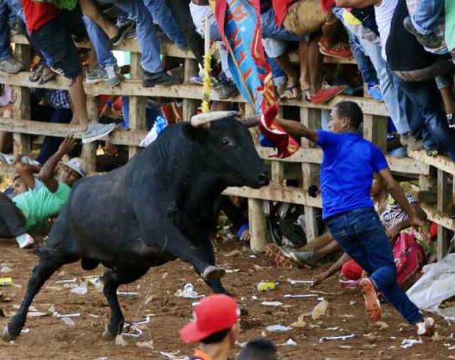Un hombre resultó muerto por un toro durante las corralejas en San Pedro Consolado, Bolívar