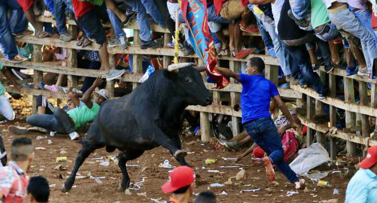 Luego del desplome de una de las graderías de la Plaza de Toros del Espinal, las autoridades confirmaron la muerte de 2 personas. Imagen: EFE.