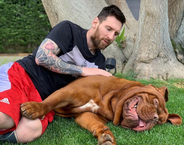 Lionel Messi contó dónde está su perro Hulk