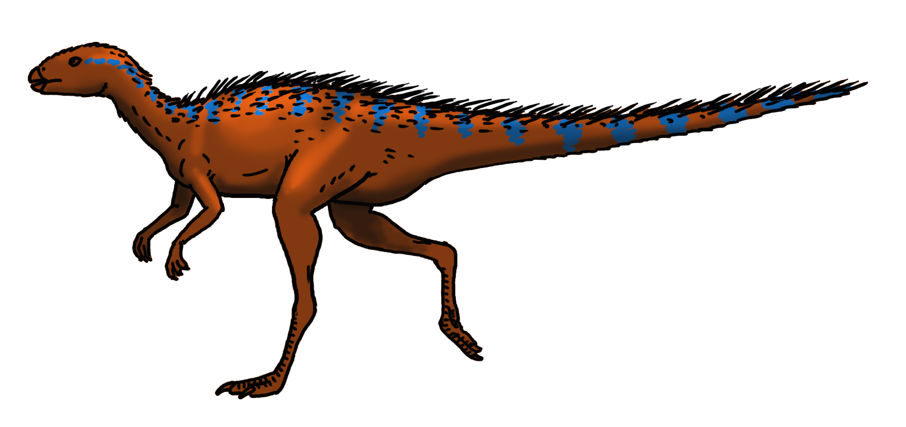 Otra especie dedicada a una mujer es Gasparinisaura cincosaltensis. Significa “reptil de Zulma Gasparini” de la localidad de Cinco Saltos, en la provincia de Río Negro.