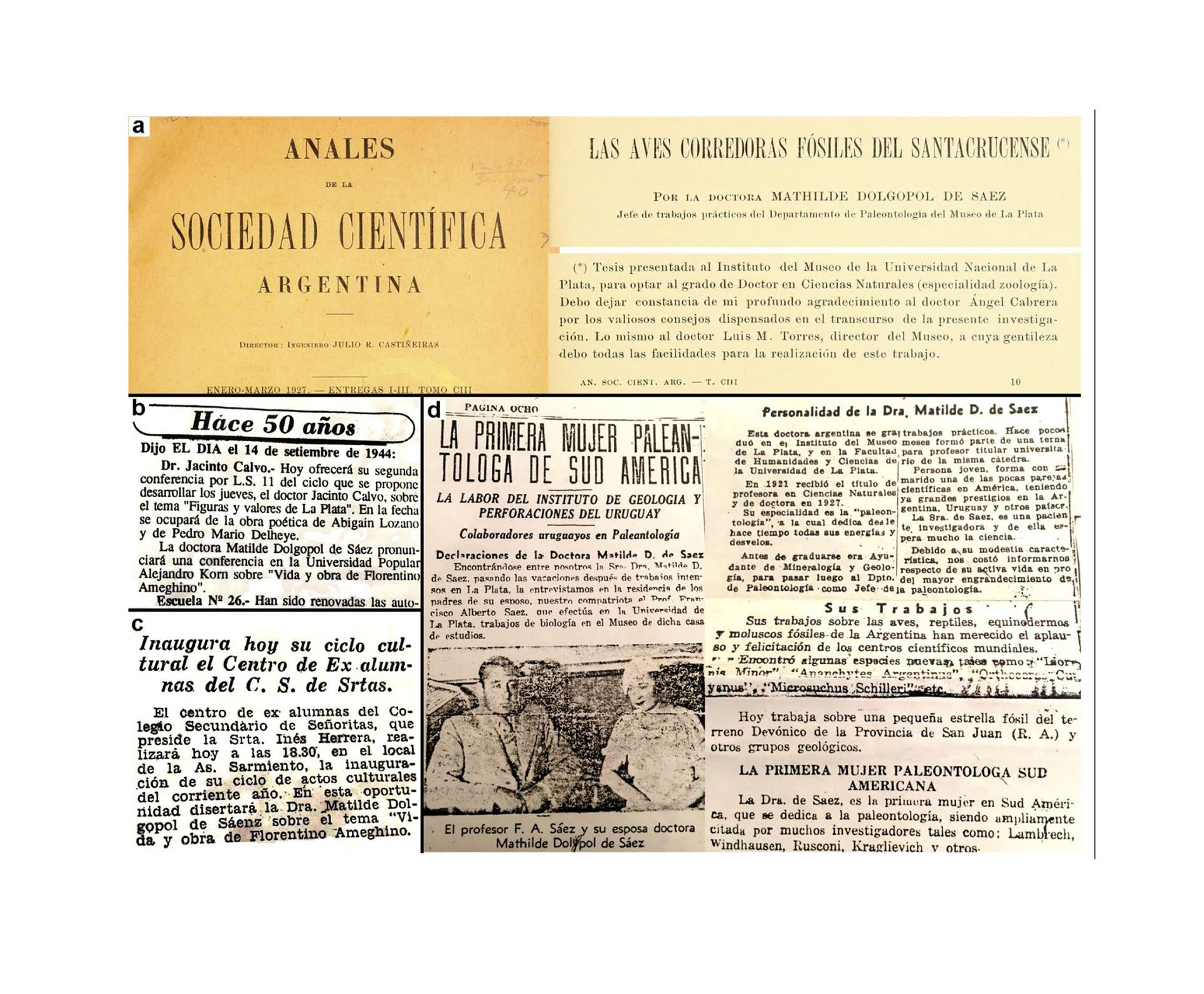 Mathilde Dolgopol de Sáez - Paleontologia