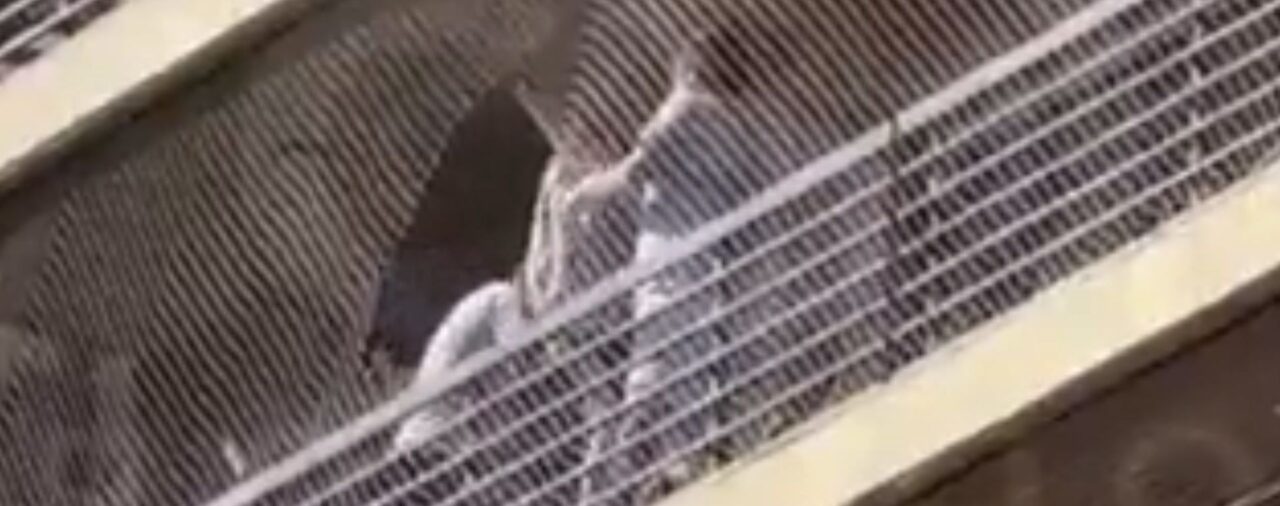 Video: así fue el dramático rescate de un niño que quedó colgado de un octavo piso en Rosario