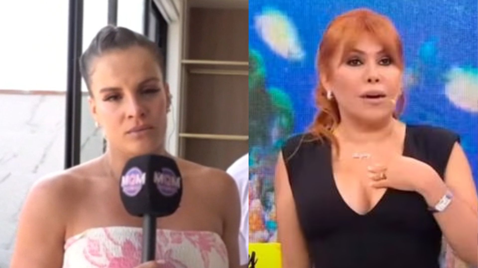 Alejandra Baigorria responde a Magaly Medina. (Capturas: América TV /ATV)