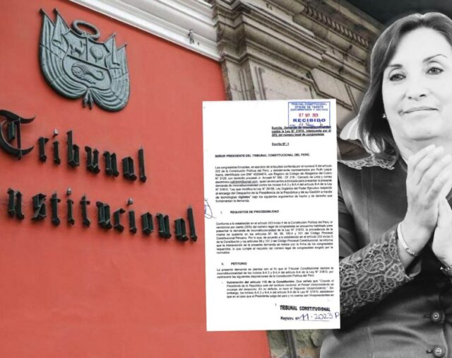 Demanda de inconstitucionalidad contra la ley que permite a Dina Boluarte ejercer la presidencia remota se encuentra paralizada en el TC