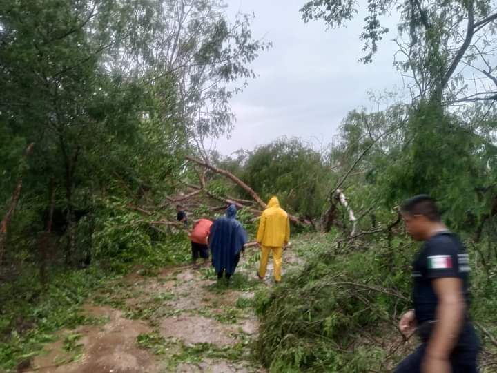 El municipio de San Marcos, colindante con Acapulco, también sufrió daños tras el paso de Otis.
