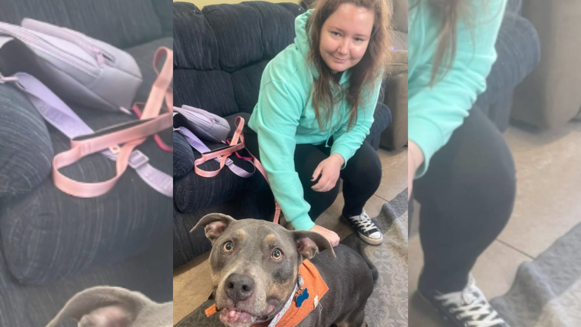 Kaitlyn trataba de superar el fallecimiento de su perro Jo y mostró interés por Ella, una perra que llevaba 7 años viviendo en ARC. (Instagram/animal_resource_center)