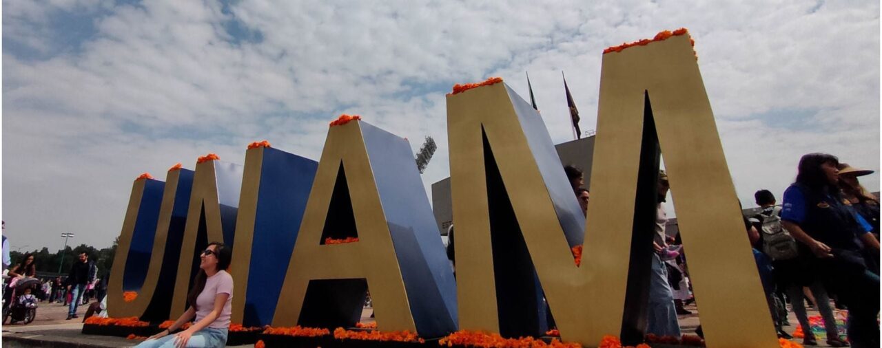 Resultados UNAM 2023 SUAyED: cuándo se publicarán y dónde puedes consultarlos