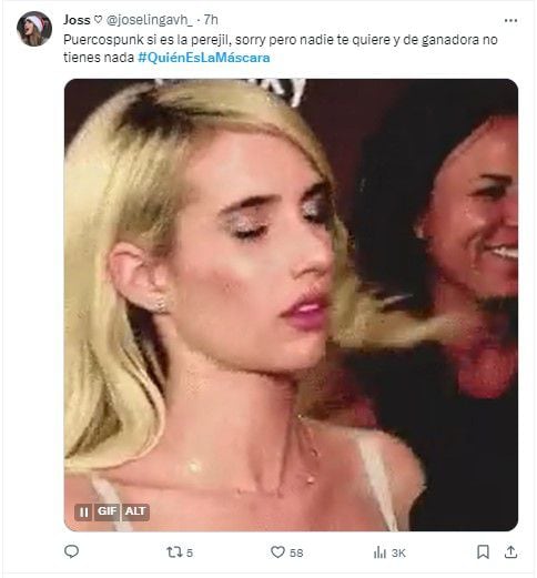 Quién es la Máscara 2020 memes en X.