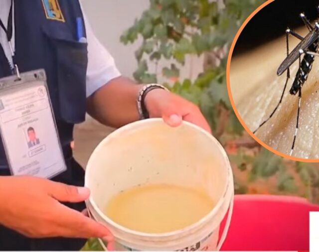 Cuál es la situación del dengue en la Argentina y la región, y qué se espera para la próxima temporada