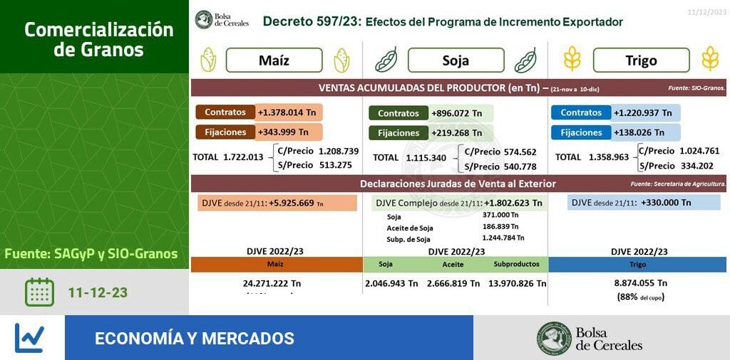 Dólar hoy en vivo: la cotización libre cae a 965 para la venta en el primer día de gestión de Milei