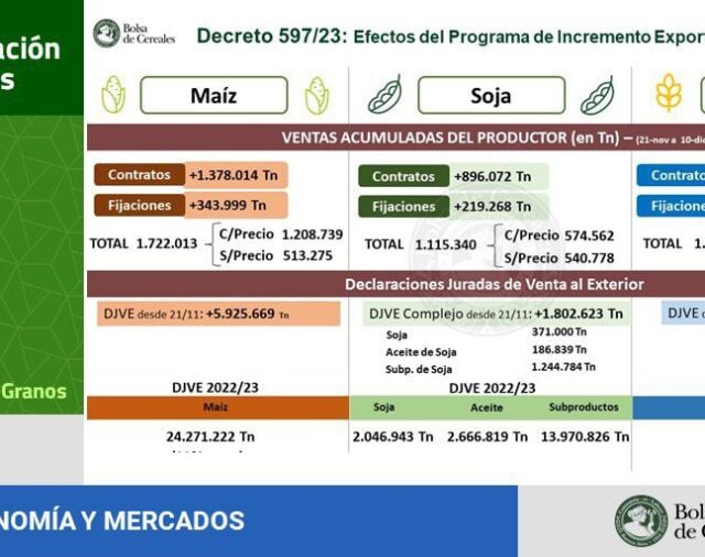 Dólar hoy en vivo: la cotización libre cae a 965 para la venta en el primer día de gestión de Milei