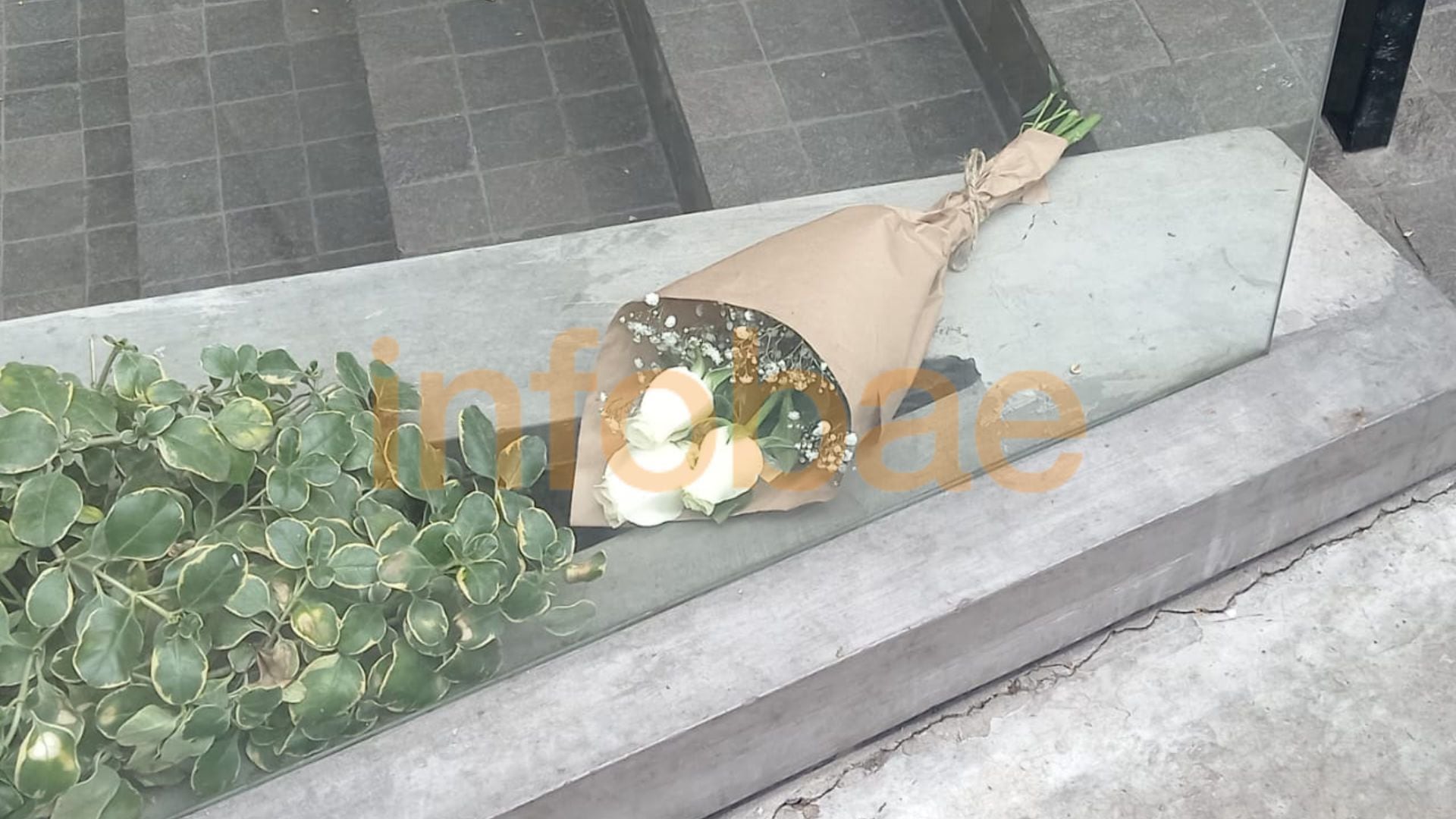 Fanáticos de Pedro Suárez Vértiz llegaron hasta la vivienda en Miraflores para rendirle tributo