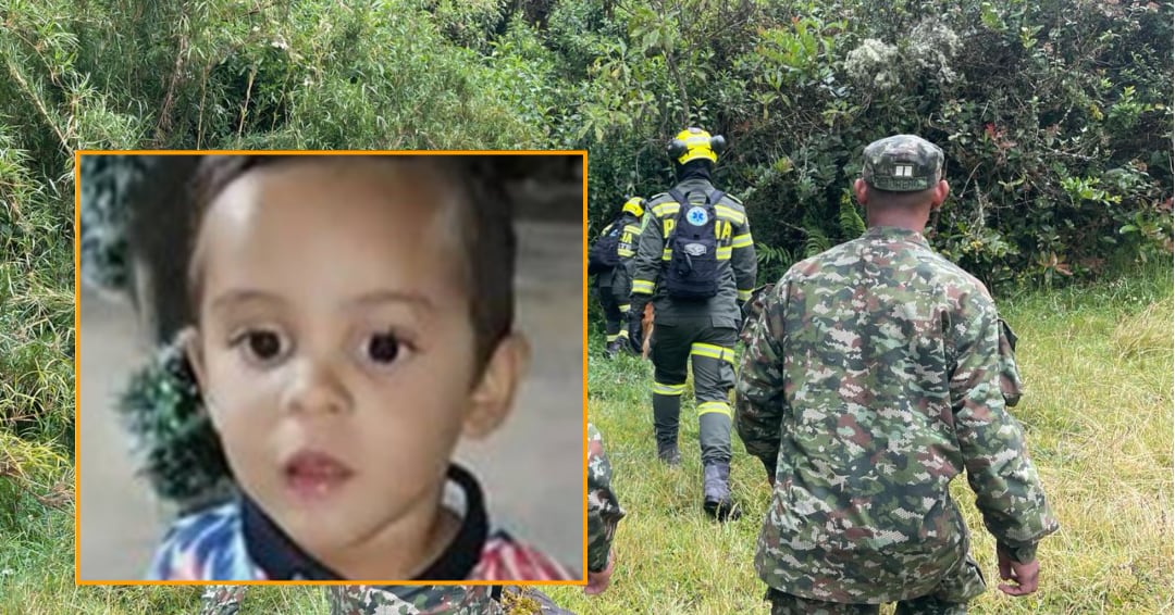 El menor desapareció el 6 de febrero de la cocina de su casa. Todo fue en cuestión de minutos - crédito Alcaldía de Bogotá y Policía Nacional