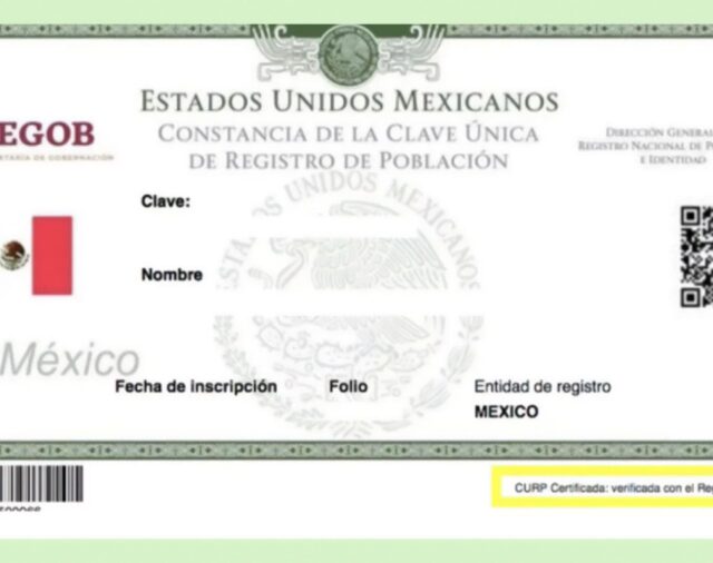 ¿No puedes descargar tu CURP? Usuarios reportan fallas para descargarlo desde hace más de un día