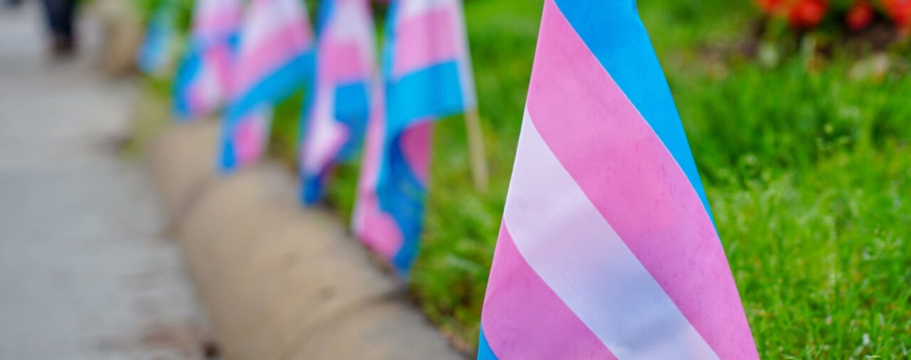 Día Internacional de la Visibilidad Trans: ¿Qué significan los colores de la bandera transgénero?