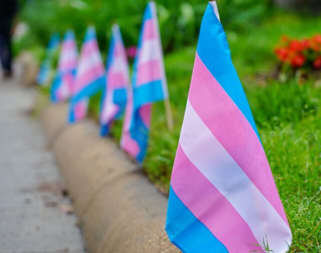 Día Internacional de la Visibilidad Trans: ¿Qué significan los colores de la bandera transgénero?