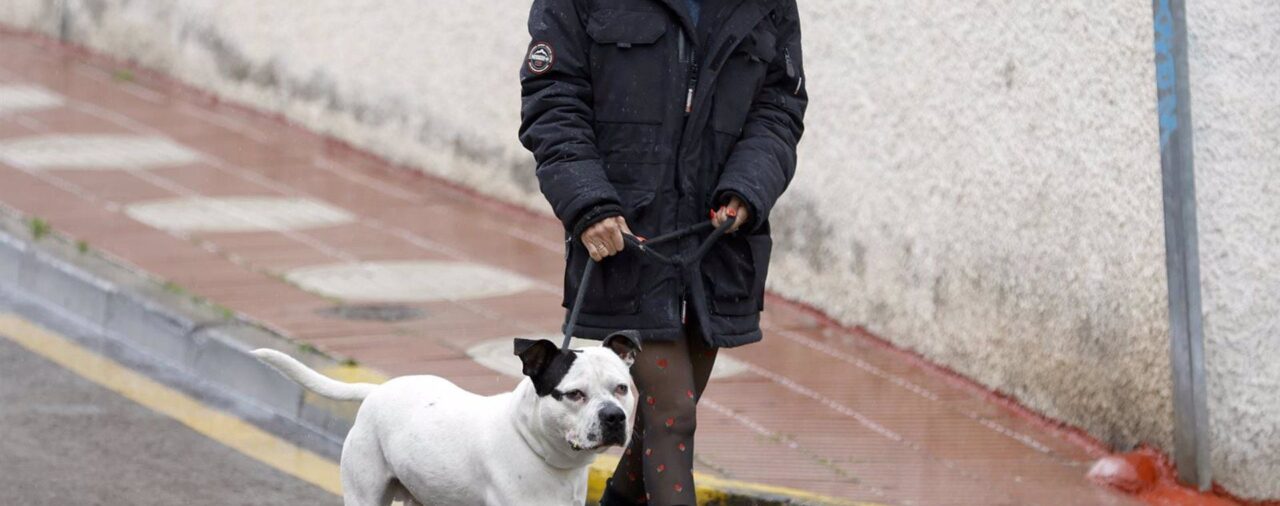 Paola Olmedo, triste y cabizbaja, pasea bajo la lluvia tras su separación