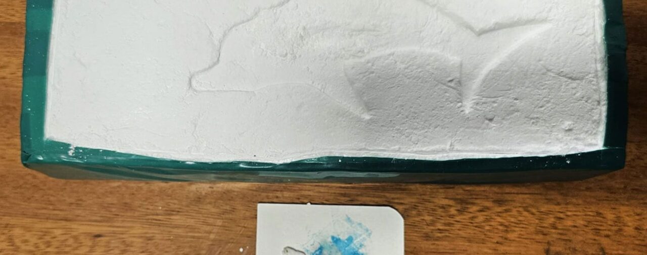 Rosario: apareció un ladrillo de cocaína con el sello de un Delfín y Patricia Bullrich apuntó a uno de los capos presos