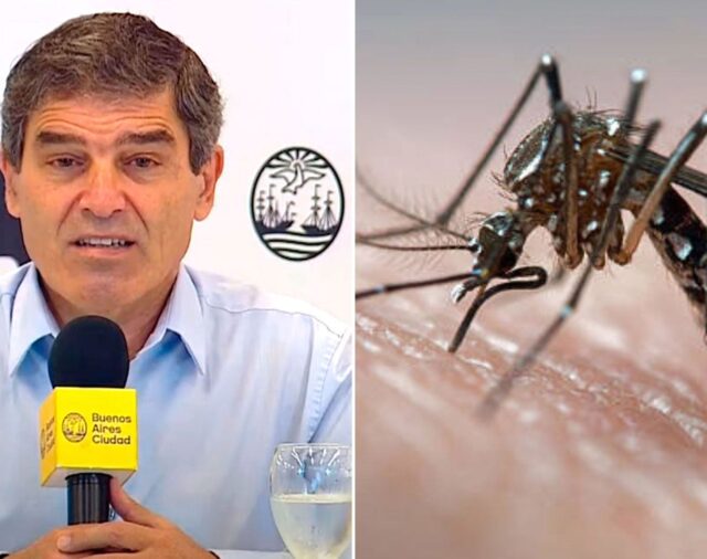 Quirós dijo que esperan más datos científicos para definir la estrategia de vacunación contra el dengue en CABA