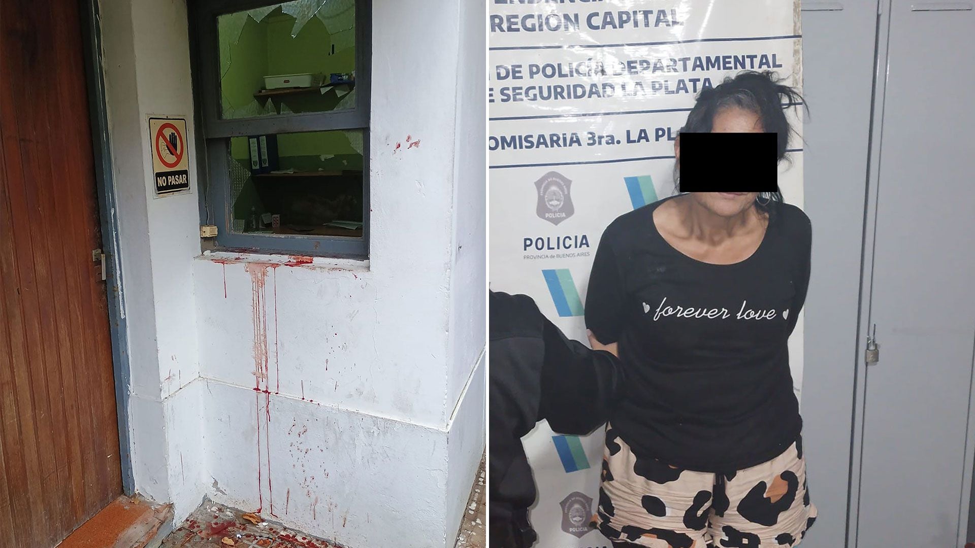 INCIDENTE MORGUE JUDICIAL LA PLATA
