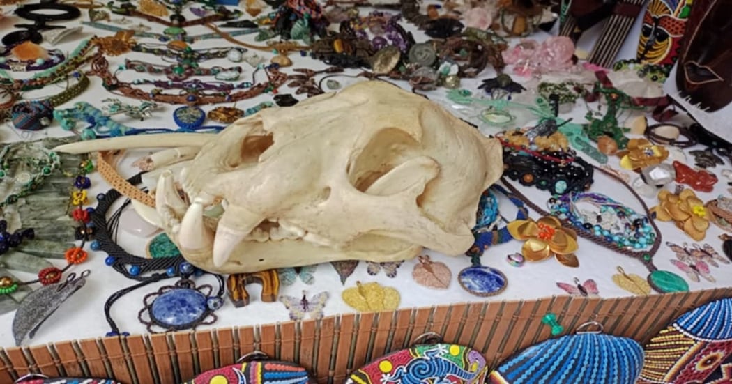 Secretaria de Ambiente caputro a comerciantes que vendian restos de animales de forma ilegal - crédito Secretaria de Ambiente