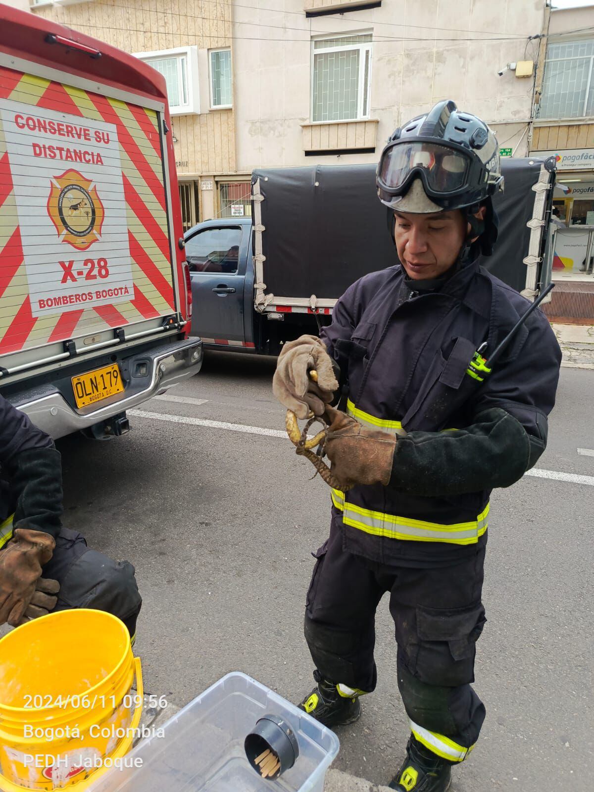 El cuerpo de Bomberos seencargó de retirar a la septiente del carro - crédito Secretaria de Ambiente