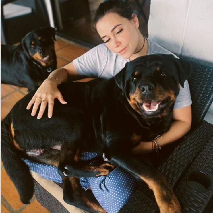 La influencer entrenará a su perro para adaptarlo a la llegada de su hija