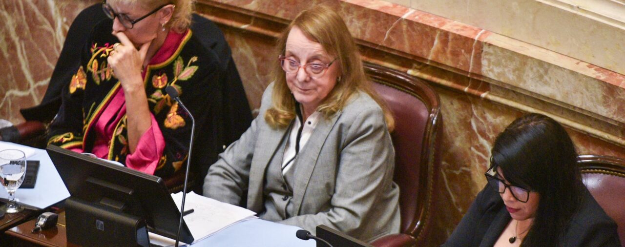 Tras los cruces por los incidentes afuera del Congreso, el Senado retomó el debate por la Ley Bases