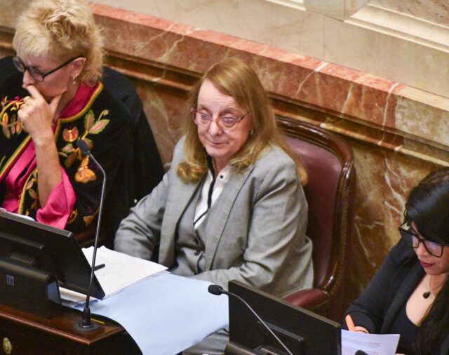Tras los cruces por los incidentes afuera del Congreso, el Senado retomó el debate por la Ley Bases