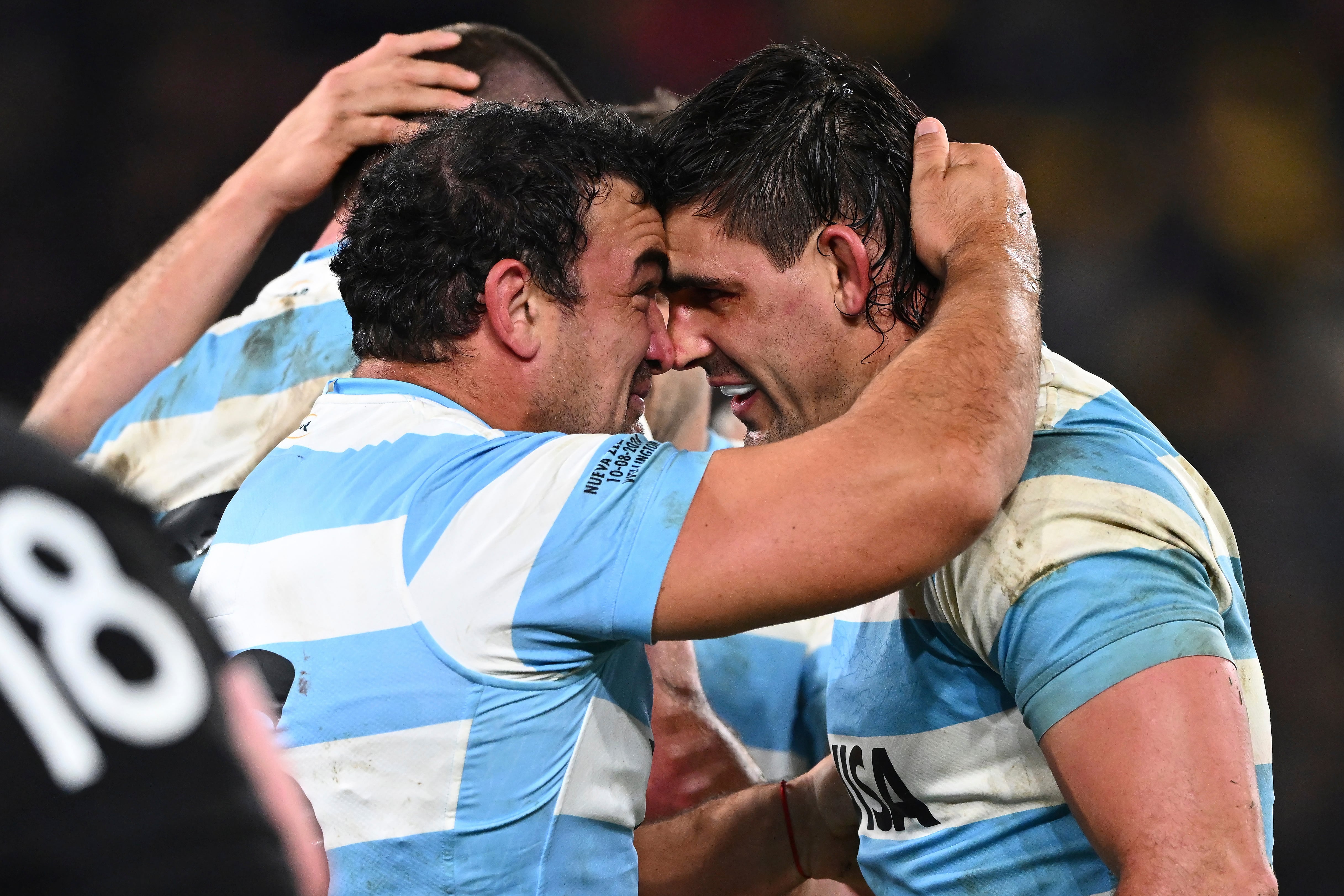 triunfo de los Pumas a Nueva Zelanda