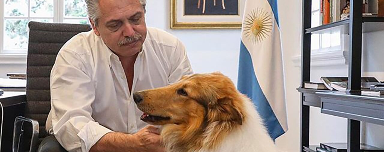 Milei le ofreció a Alberto Fernández adoptar a su perro Dylan, en medio de las denuncias por violencia y corrupción