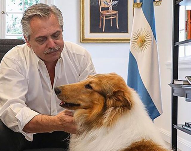 Milei le ofreció a Alberto Fernández adoptar a su perro Dylan, en medio de las denuncias por violencia y corrupción