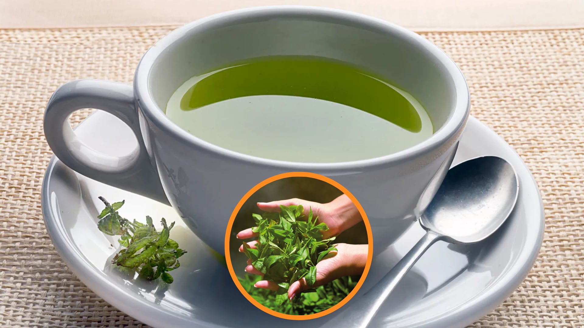 Té verde - planta medicinal - enfermedades cardiovasculares - infusiones - Perú - 17 de julio