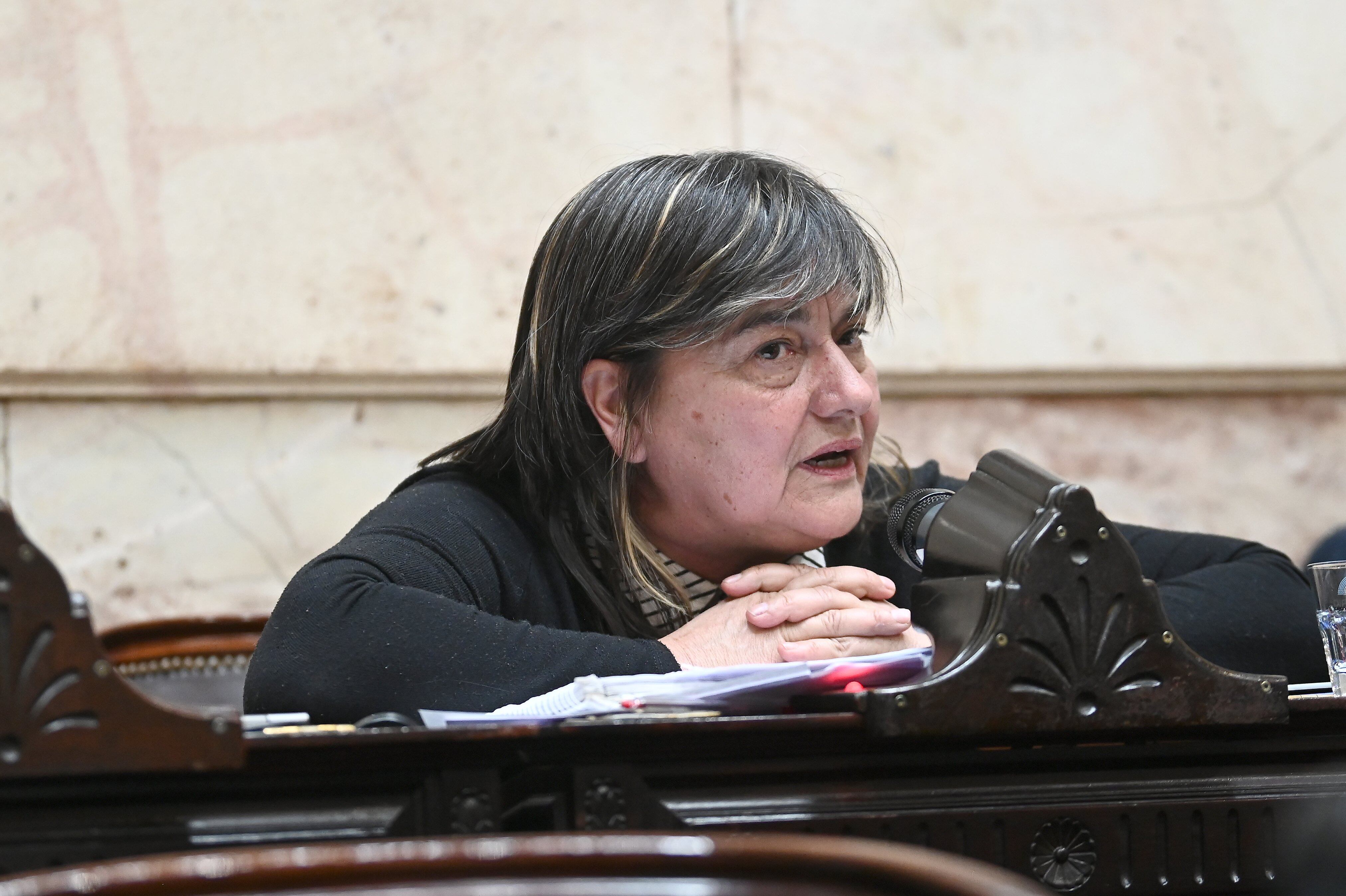 Mónica Schlotthauer, diputada del Frente de Izquierda 